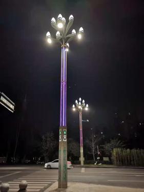 北京玉兰灯