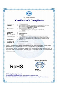 RoHS certificate template