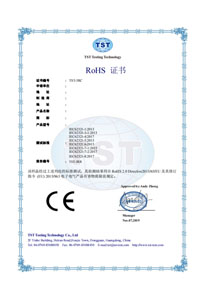 RoHS Chinese certificate template