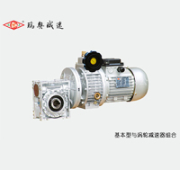 NMRV030-040双涡轮减速器