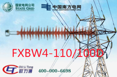 FXBW4-110/100D复合绝缘子
