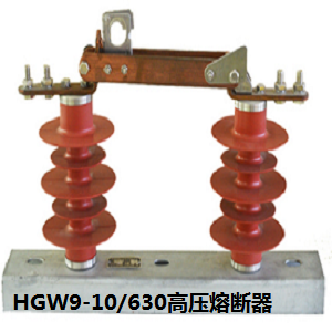 HGW9-10/630高压熔断器