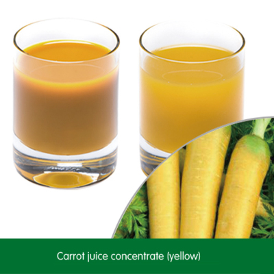 Carrot juice concentrate（yellow）