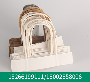Case 8 of paper rope for environmental protection handbag