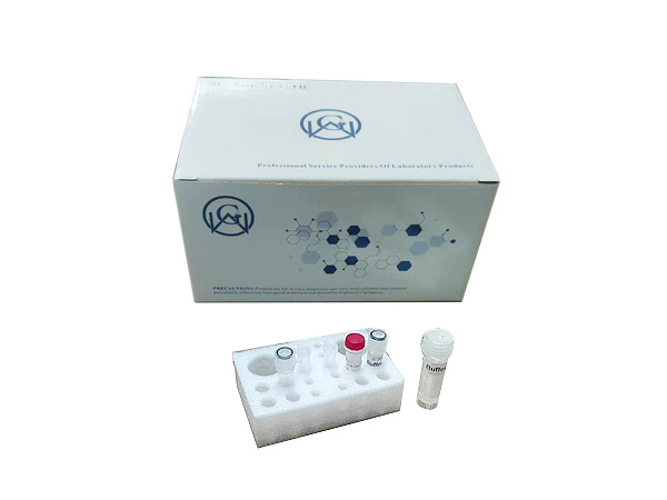致病菌检测试剂盒
