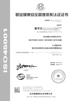 iso体系认证ISO45001模板