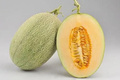 酥脆爽口的哈密瓜子能吃嗎？