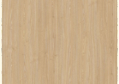 ZY90010-白櫟木-White Oak