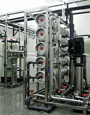 蘭州城關區食品廠10T/H雙級RO反滲透純水設備
