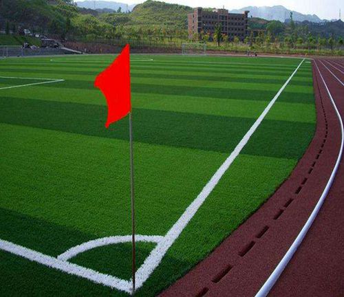 西安足球場人造草坪