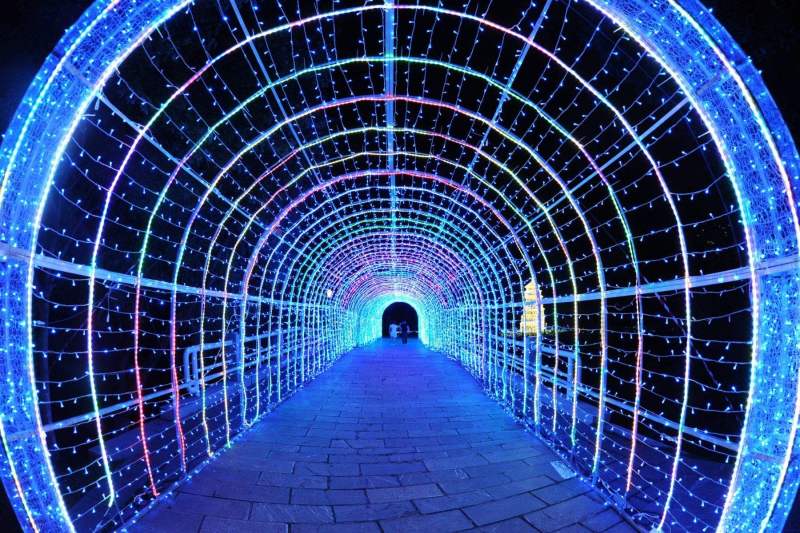 安徽江南水鄉文旅景區夫子廟燈光秀，讓你感受古城新氣象！