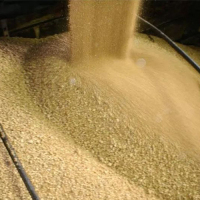 中储粮豆粕厂家在生产中解决了那些存在的问题