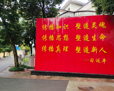 重庆特训学校文化墙