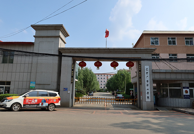 遼寧廣告職業學院