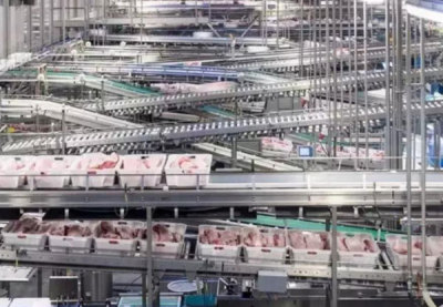 肉类产品自动输送机 冷冻食品输送机