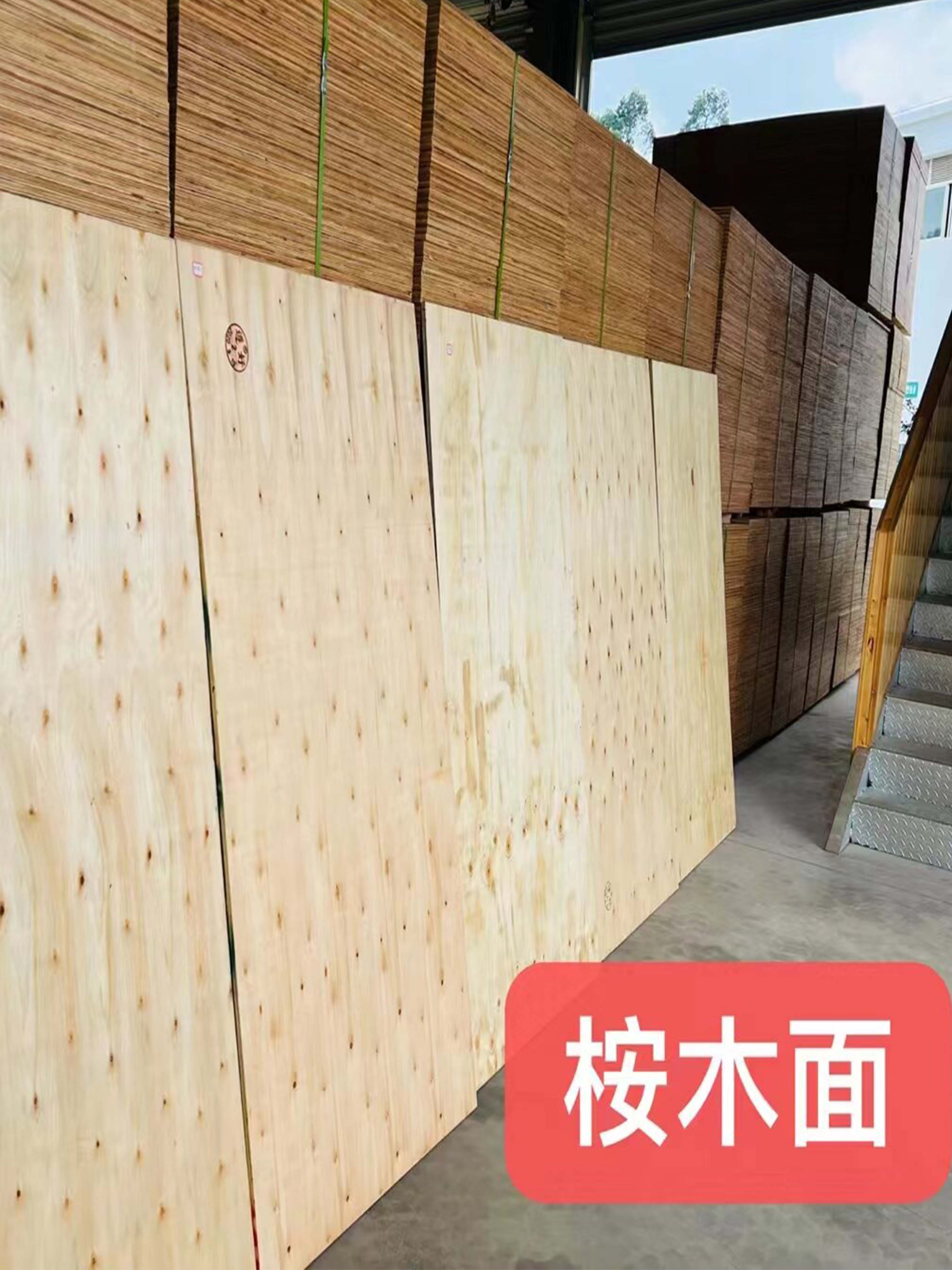 贵州桉木面板厂家