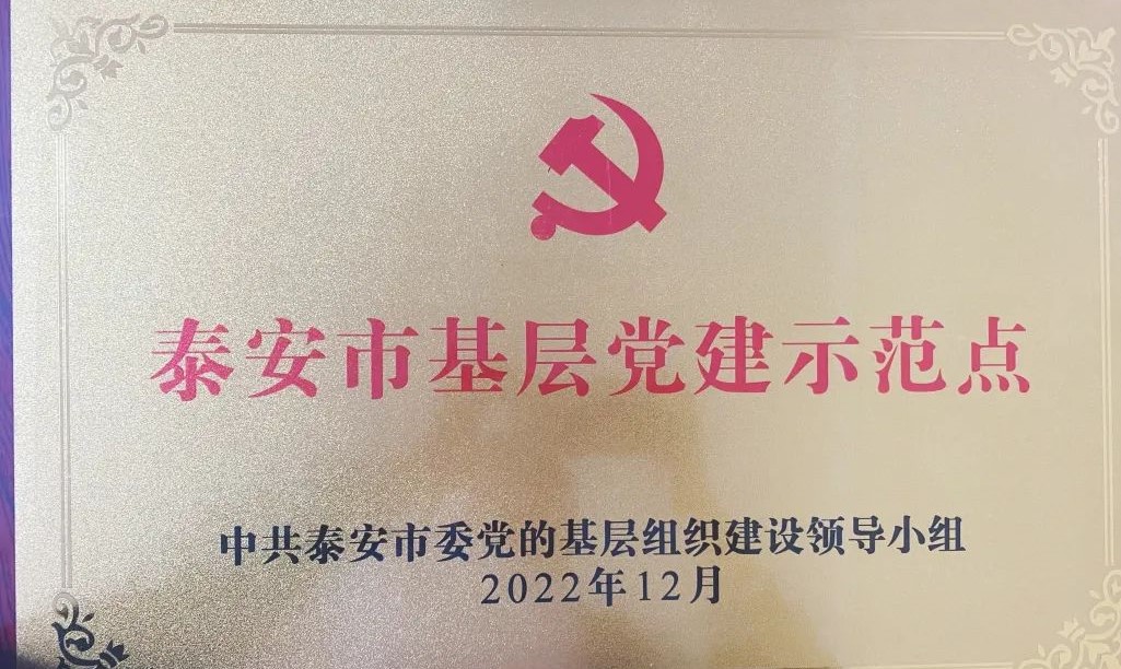【喜报】新葡亰8883ent党委被确立为“泰安市基层党建示范点”