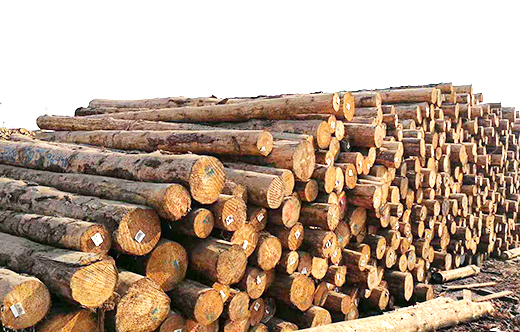 提高木材加工質量的解決方案