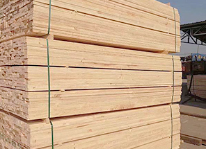 新西兰松木成品加工现场