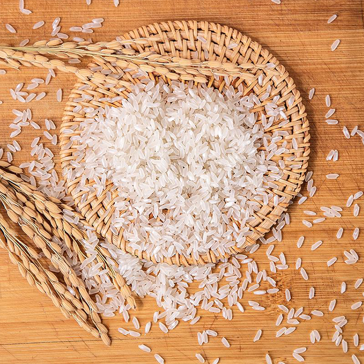 復合營養米
