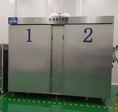 成都两门柜式速冻机