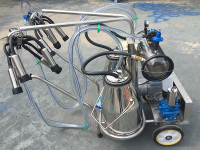 Double barrel vacuum milking machine