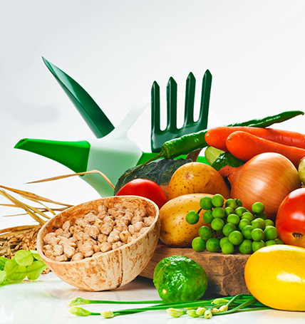 食堂管理:蔬菜可以储存多久？如何保存？怎么辨别蔬菜是否新鲜？
