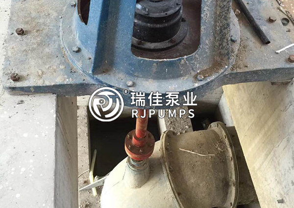 軸流泵泵房安裝全景