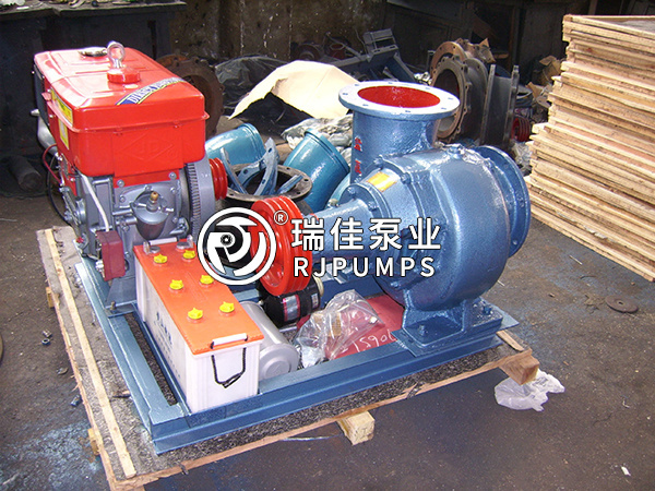 安徽250HW-10-1130柴油機水泵機組