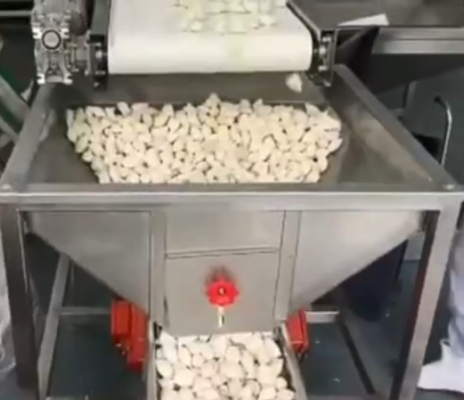 水餃包裝機的具體工作過程