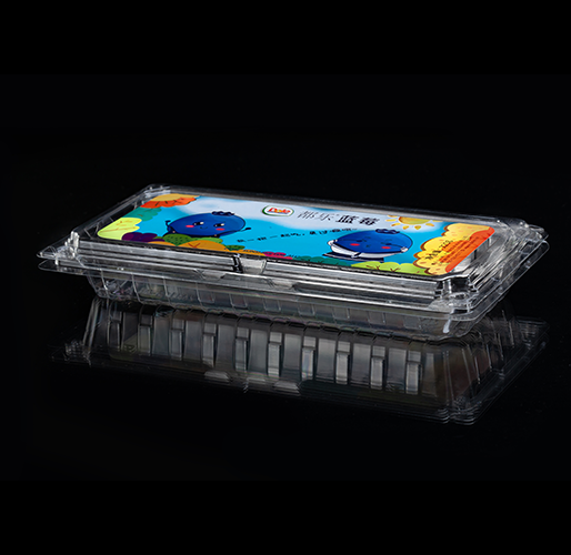 昆山藍莓盒、空白盒240125-362