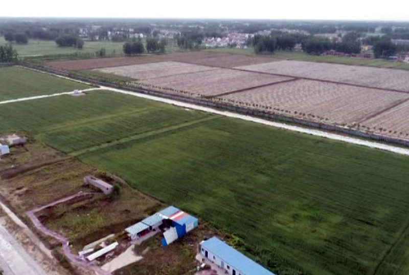 牧原集團從儲存池通向農田的支農管網