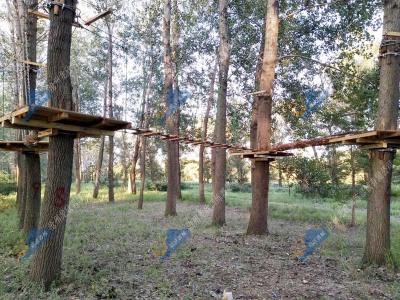 飞跃丛林探险设施-丛林拓展设施