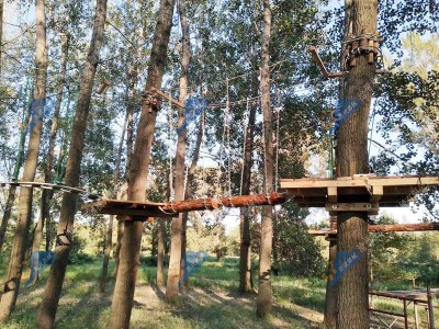 飞跃丛林探险器材-丛林拓展器材