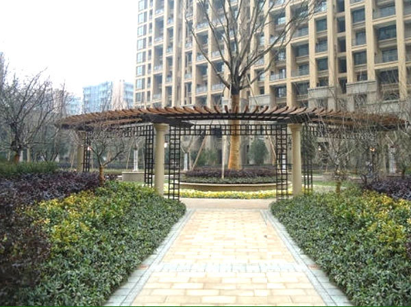 北京绿化苗木公司