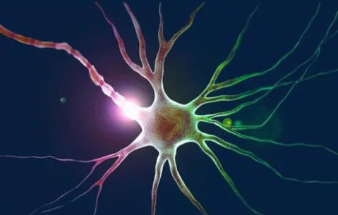 基于石墨烯的智能神经植入物，用于脑部疾病的个性化神经治疗