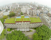 屋顶绿化草坪