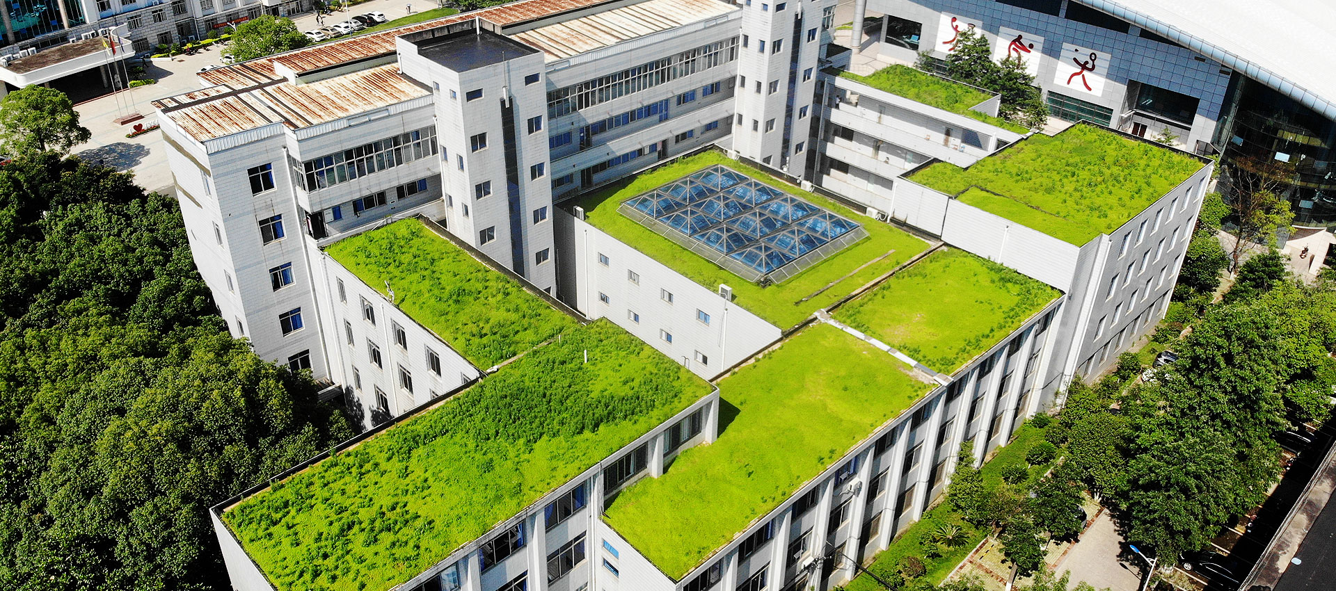 屋顶绿化景观设计