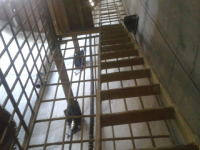 云南有煤安证的玻璃钢梯子间