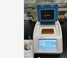 PCR儀分類介紹