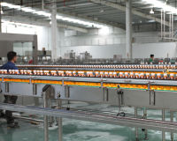 安徽滁州功能性飲料生產線工程案例