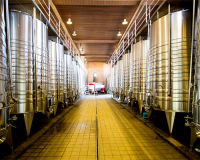 贵州凯里果酒生产线工程案例