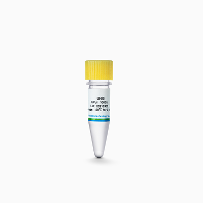 UNG (Uracil-DNA Glycosylase)（货号E01）