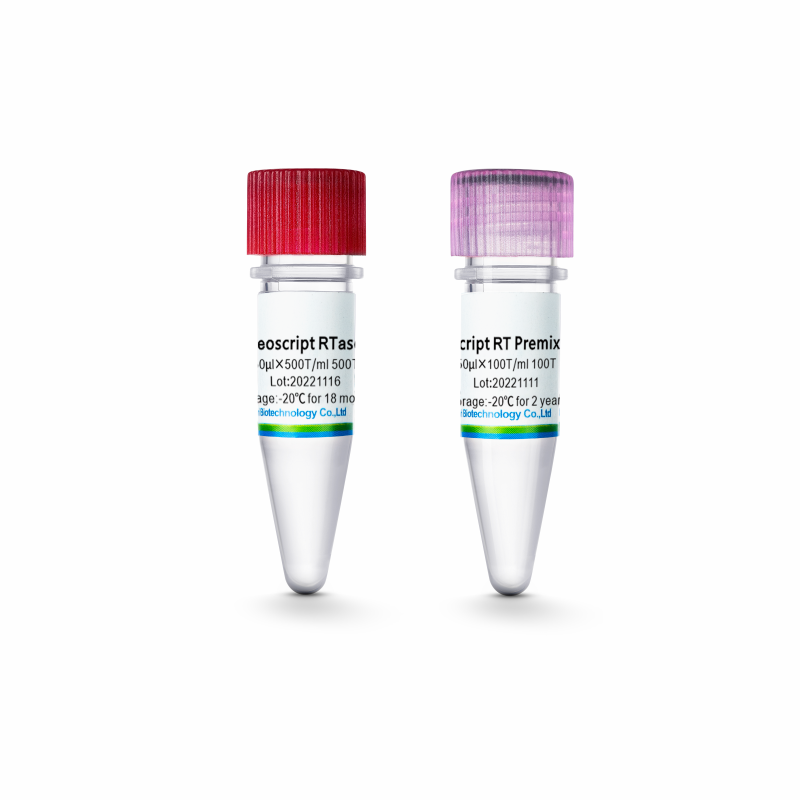 5×Neoscript® RT Premix（RT-PCR)(货号PM504)