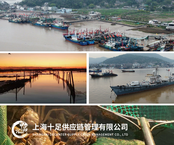 贵州上海十足供应链管理有限公司