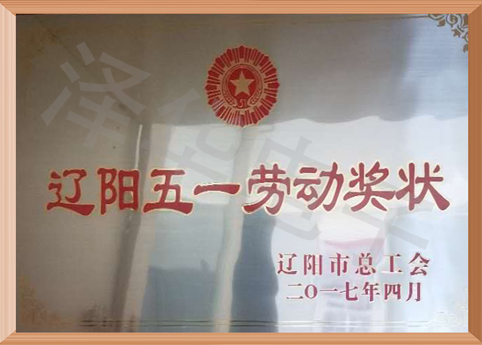 201704 Liaoyang May Day Labor Award
