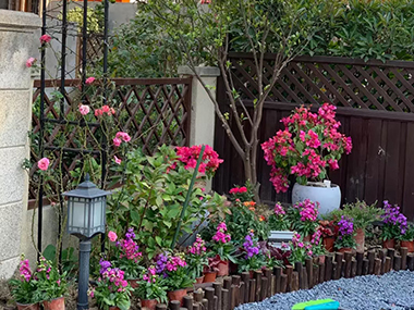 别墅花园设计怎样有效的使用颜色？