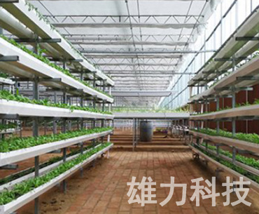 北京方管基质立体栽培