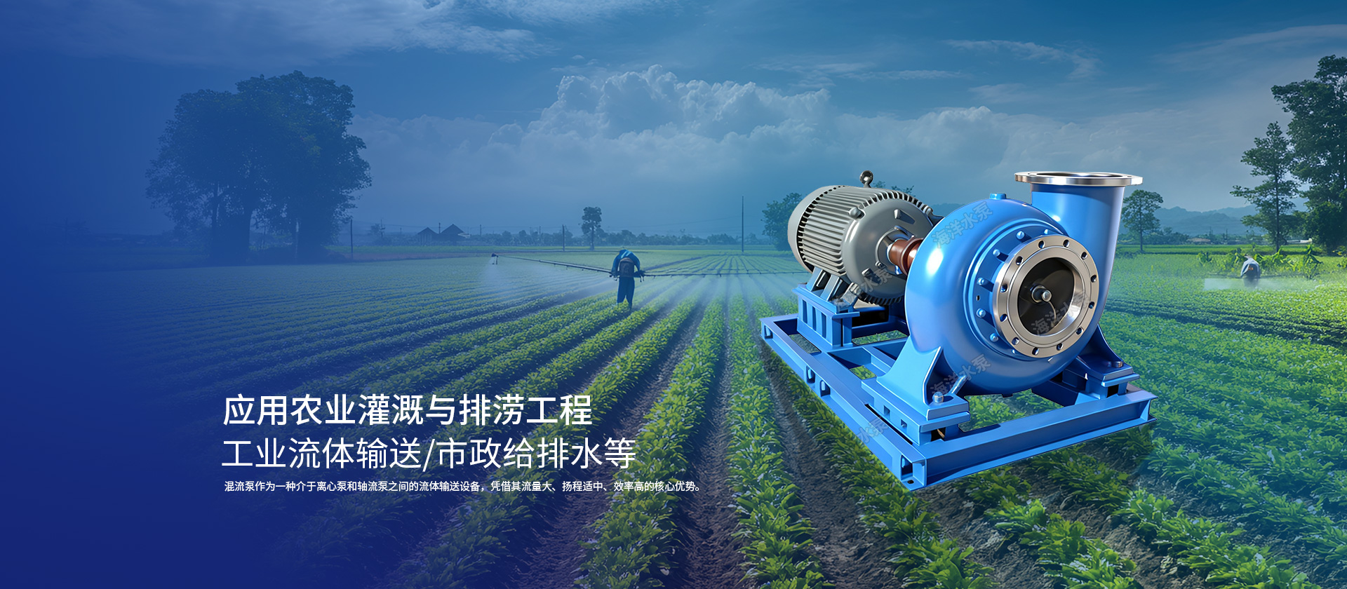 轴流泵厂家