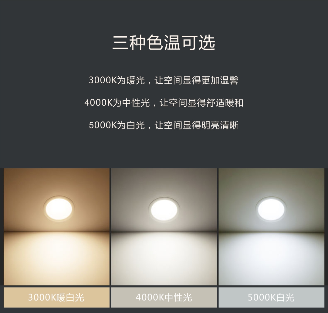 Raynice LED Wall Lamp Series